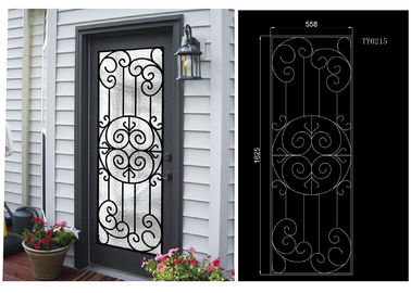 Most Durable Agon Filled Wrought Iron Glass Doors 22*64 inch Size Shaped Crafted